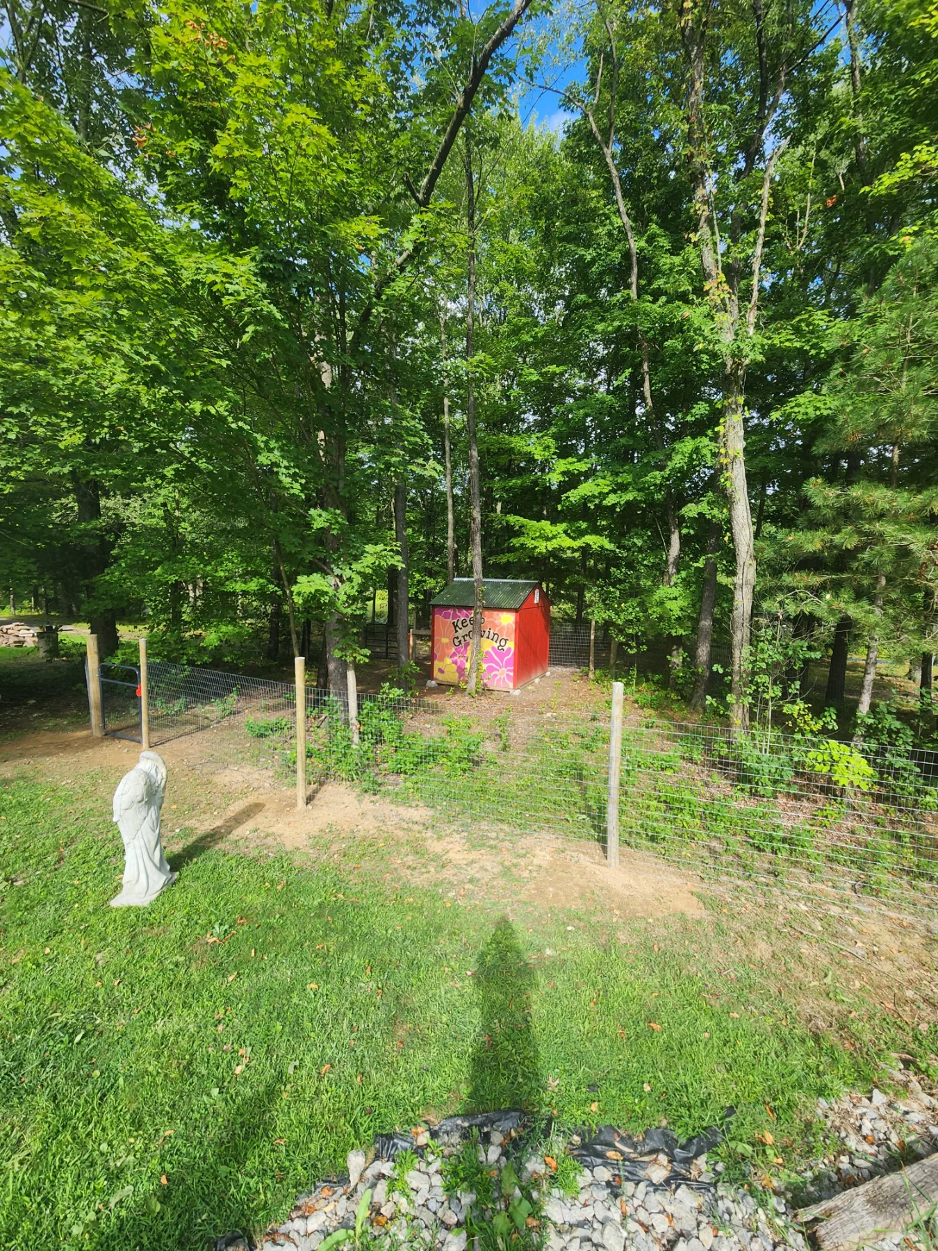 Animal Pen and Storage Shed project photo 3