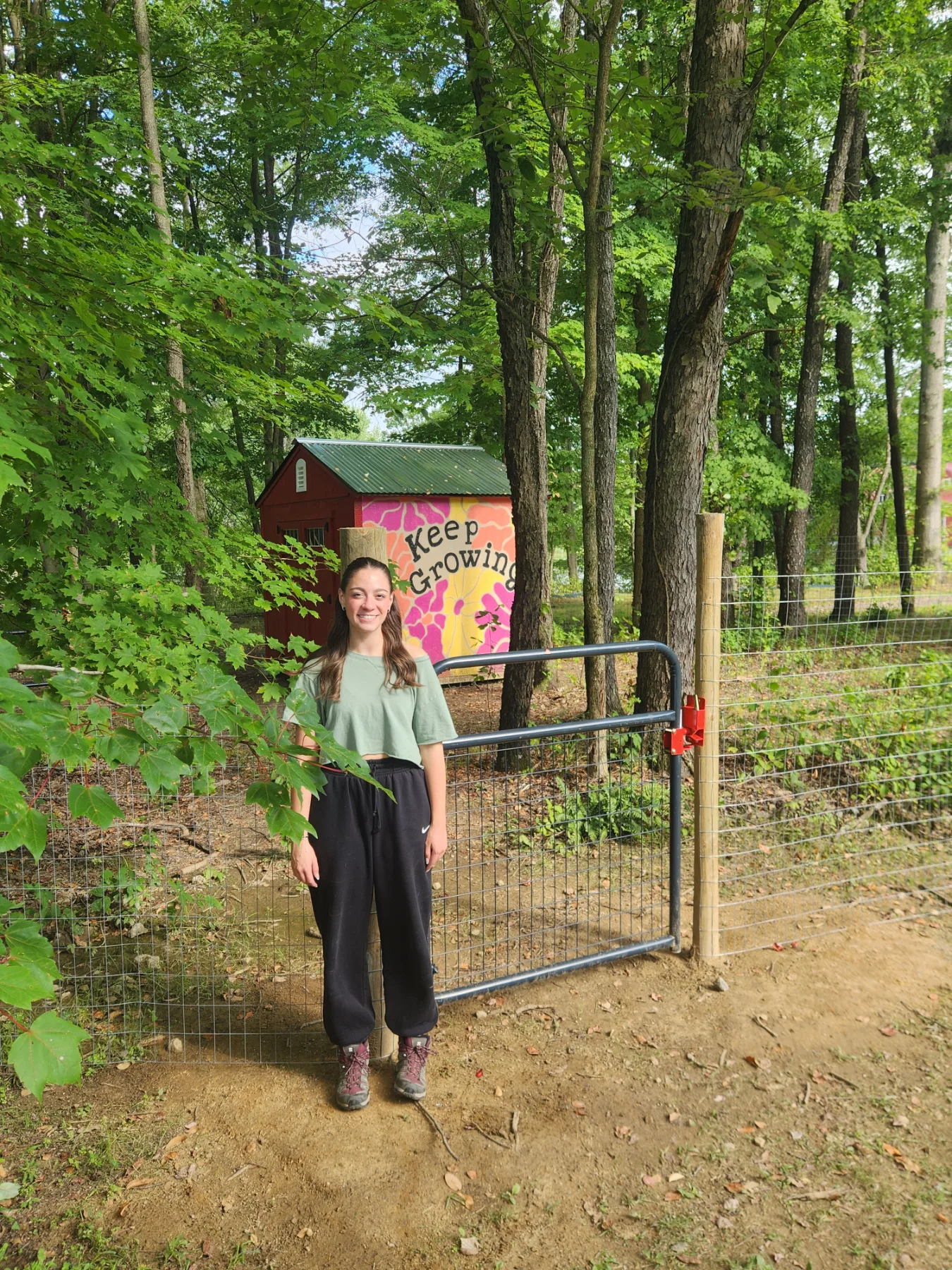 Cover photo for Animal Pen and Storage Shed