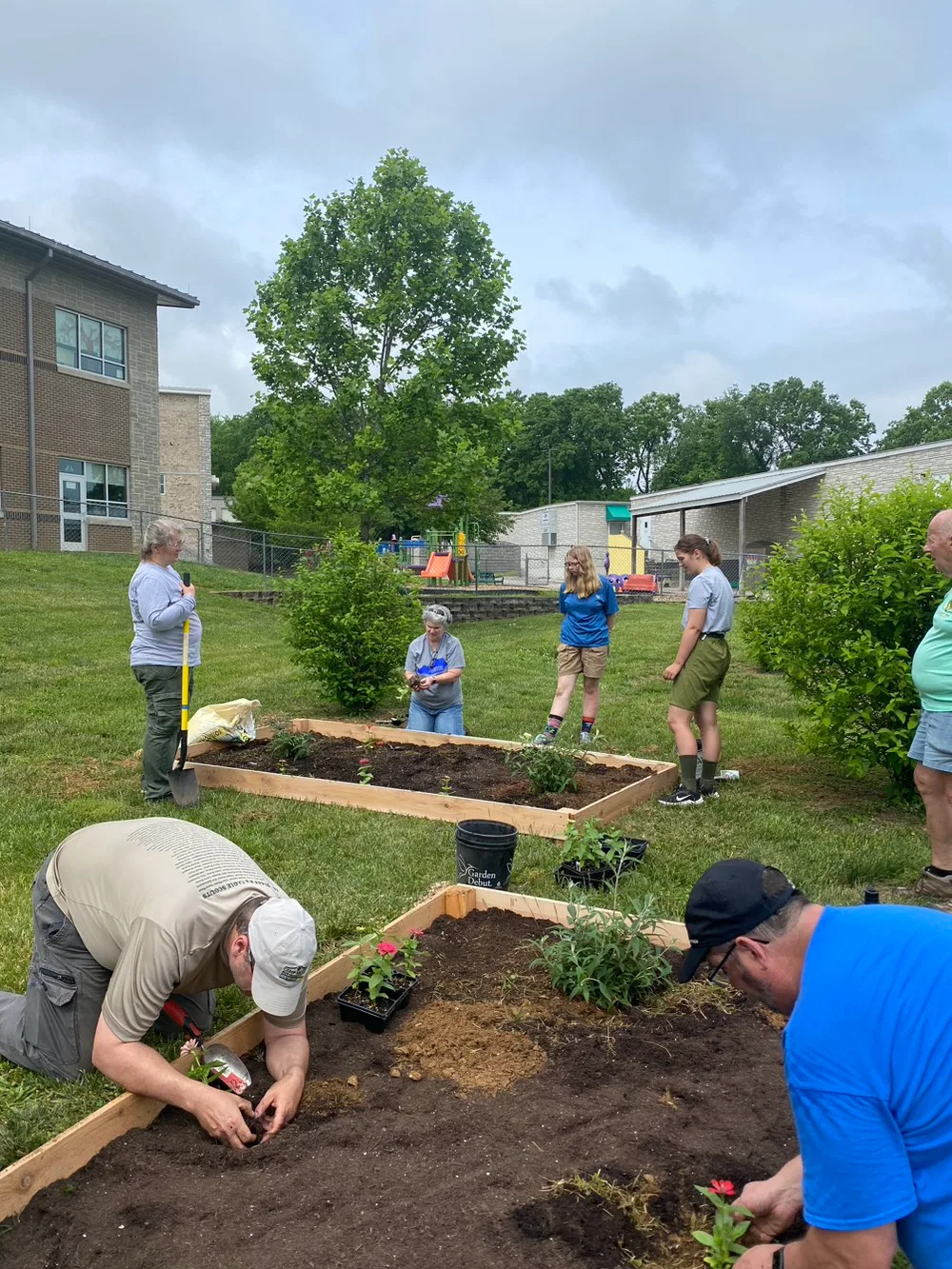 Monarch Butterfly waystation project photo 4