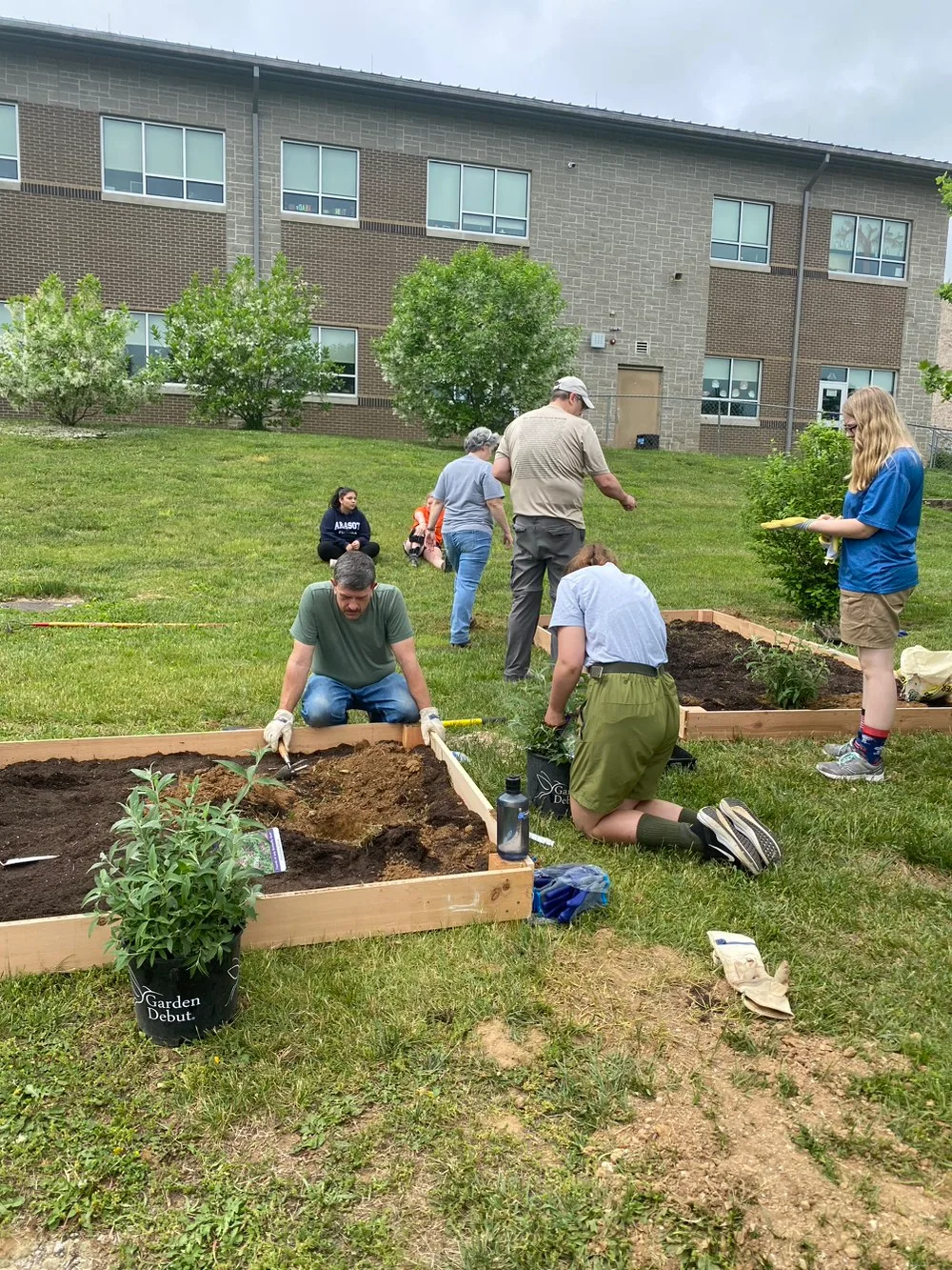 Monarch Butterfly waystation project photo 3