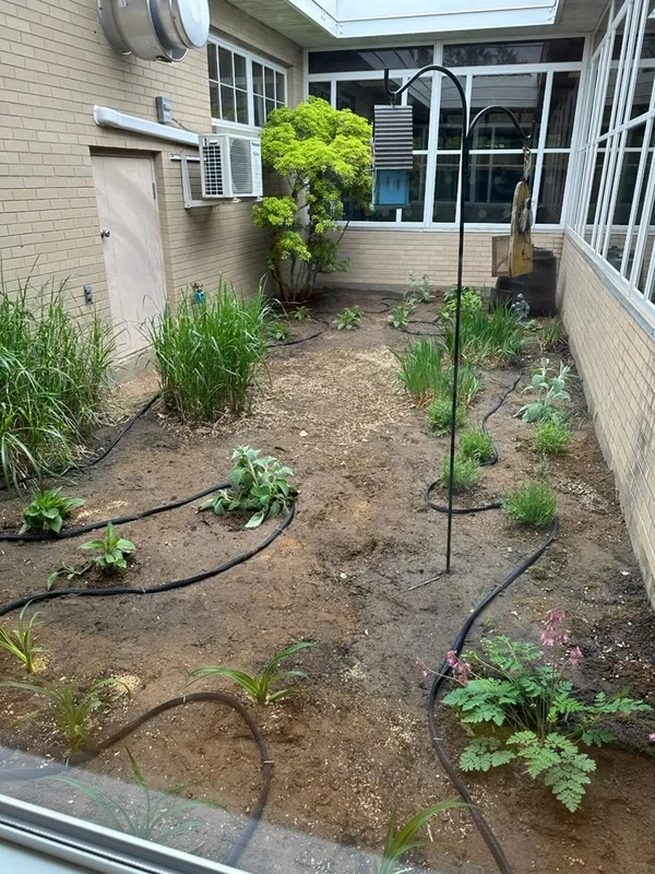 Cover photo for School Atrium Beautification