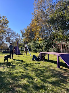 Pat Merritt Dog Park Agility Course project photo 2