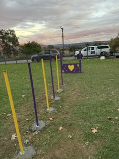 Pat Merritt Dog Park Agility Course project photo 3