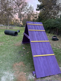 Pat Merritt Dog Park Agility Course project photo 4