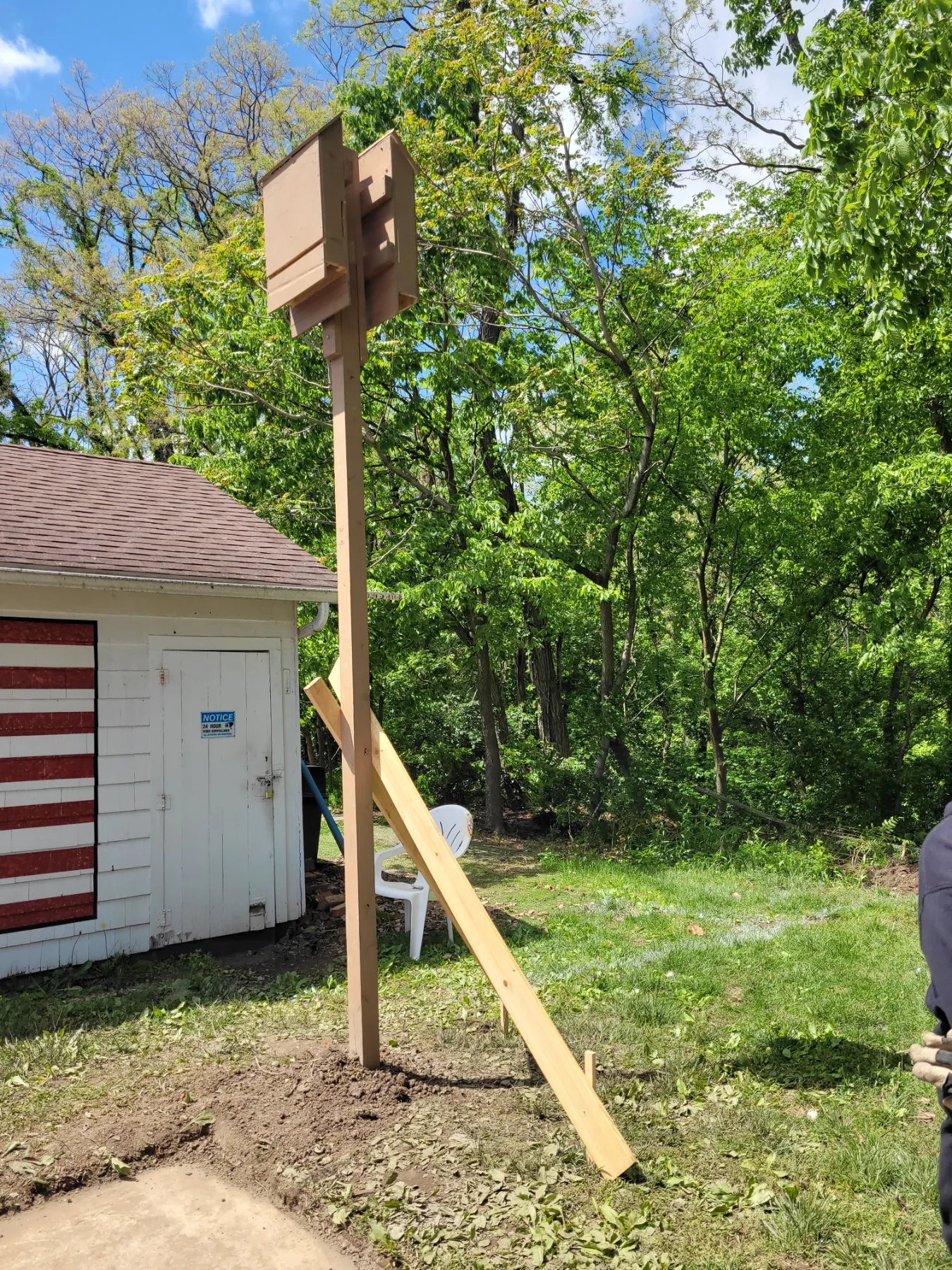 Pollinator Garden and Bat Houses project photo 2