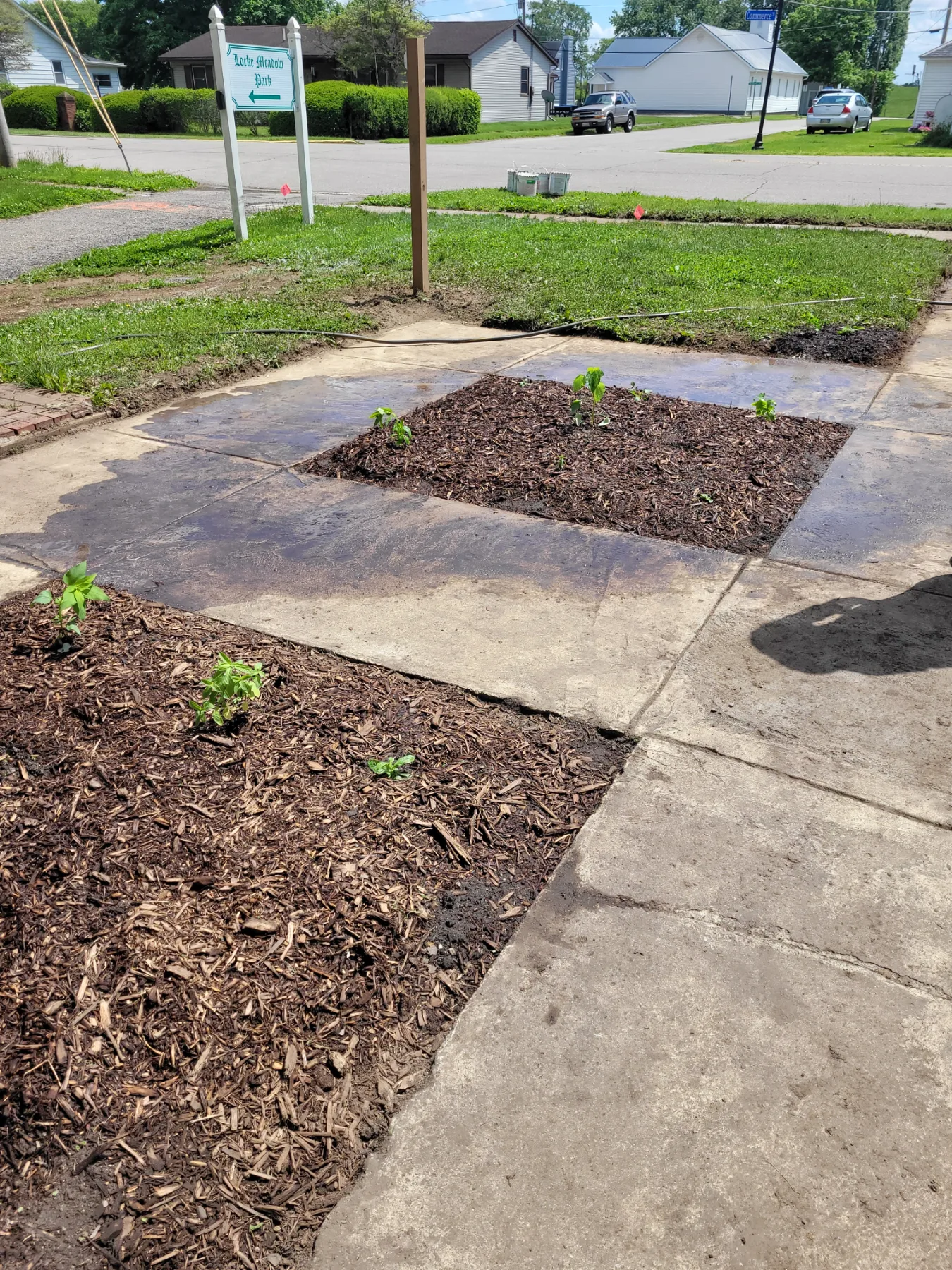 Pollinator Garden and Bat Houses project photo 4
