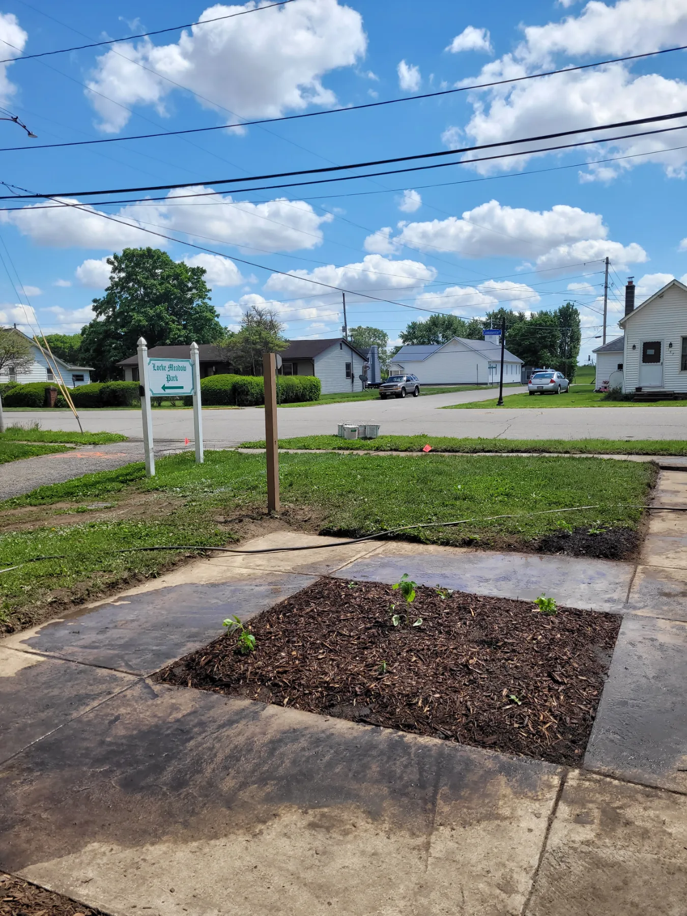 Pollinator Garden and Bat Houses project photo 3