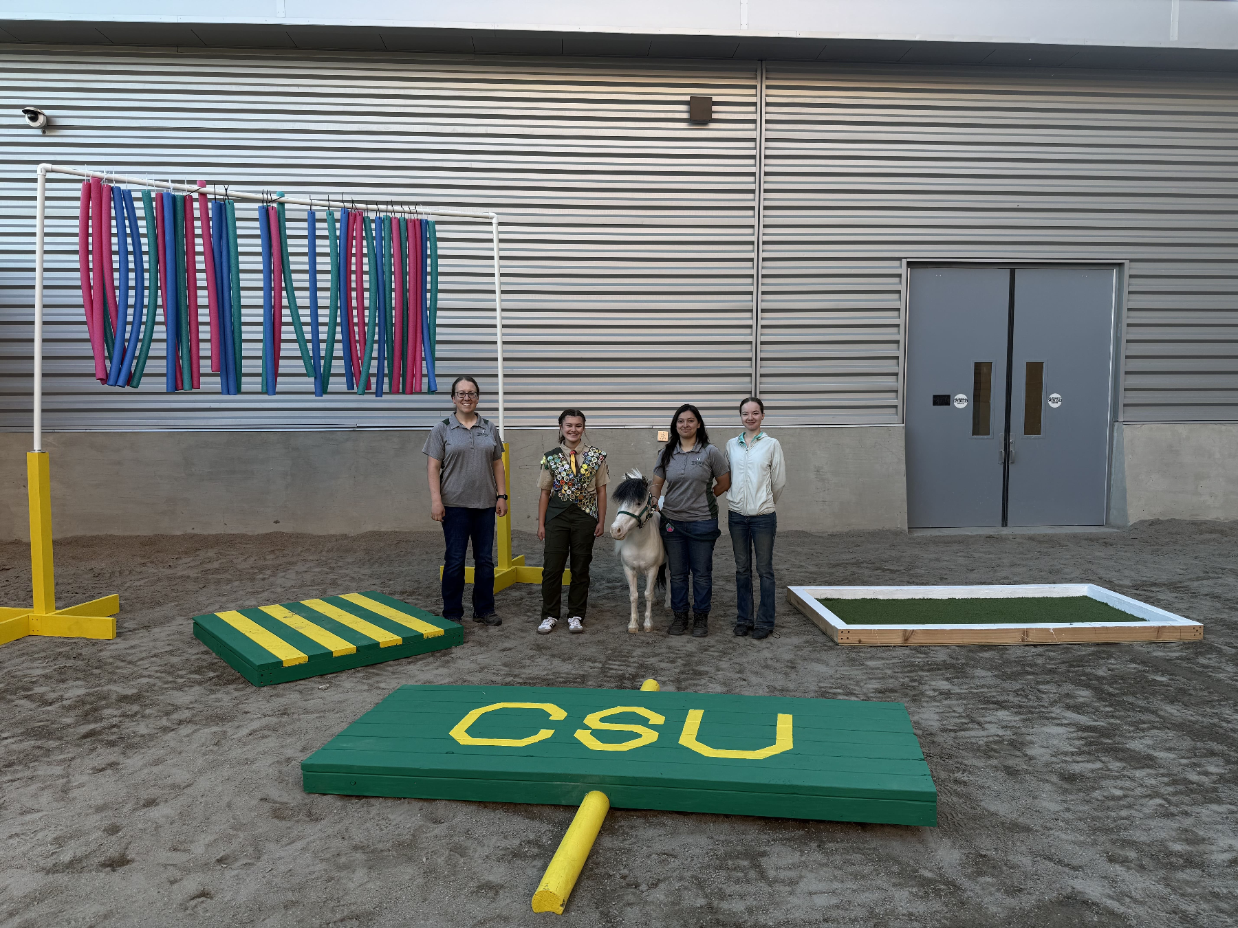 Cover photo for Horse obstacles for the Temple Grandin Equine Center