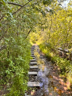 The Scout Loop Trail project photo 4