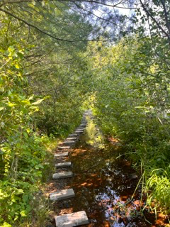 The Scout Loop Trail project photo 5