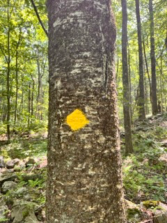 The Scout Loop Trail project photo 2