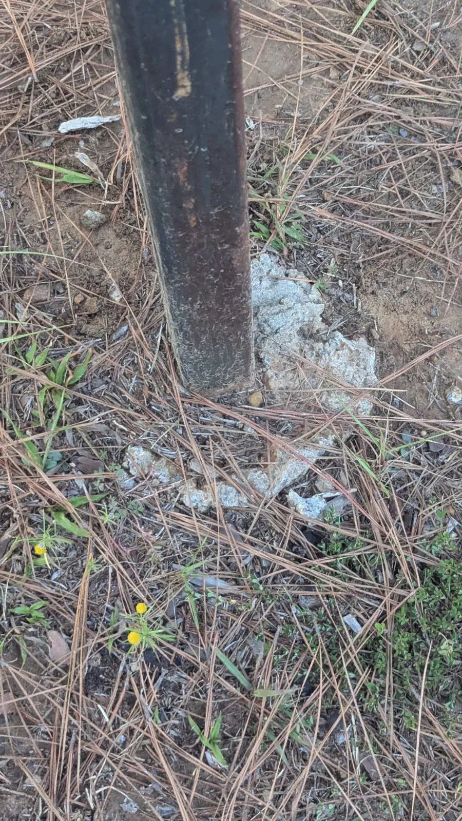 Disc golf course renovation project photo 2