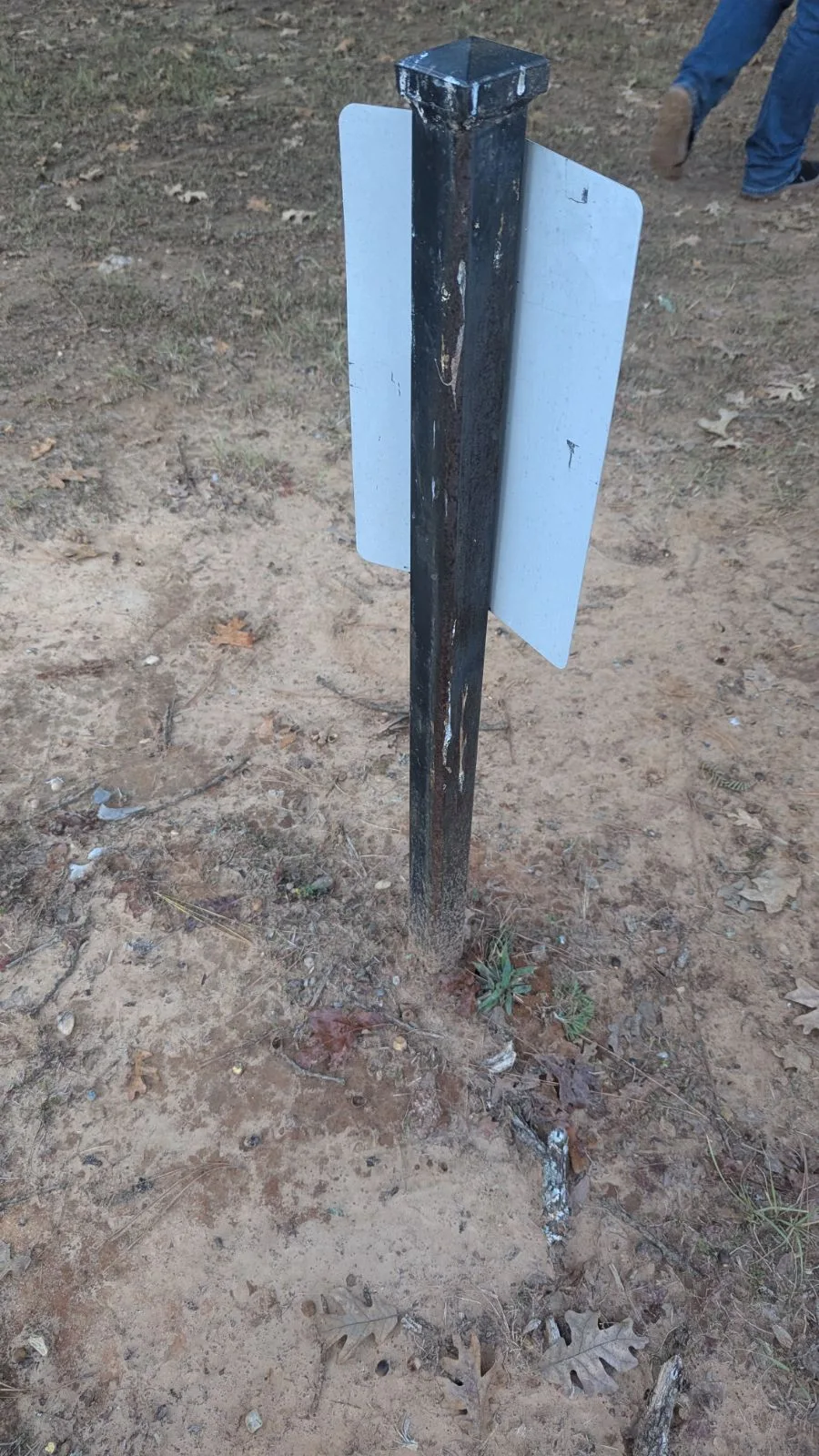 Disc golf course renovation project photo 3