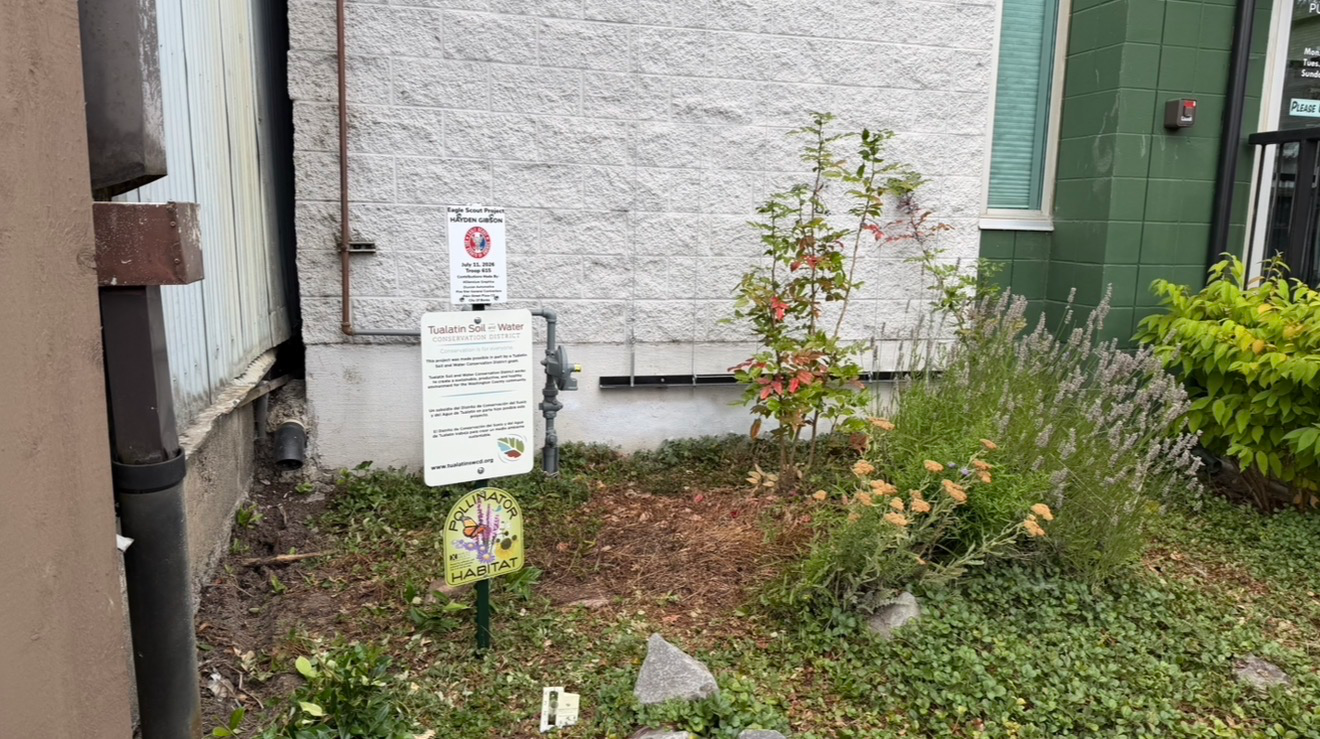Banks Library Greenwall project photo 2