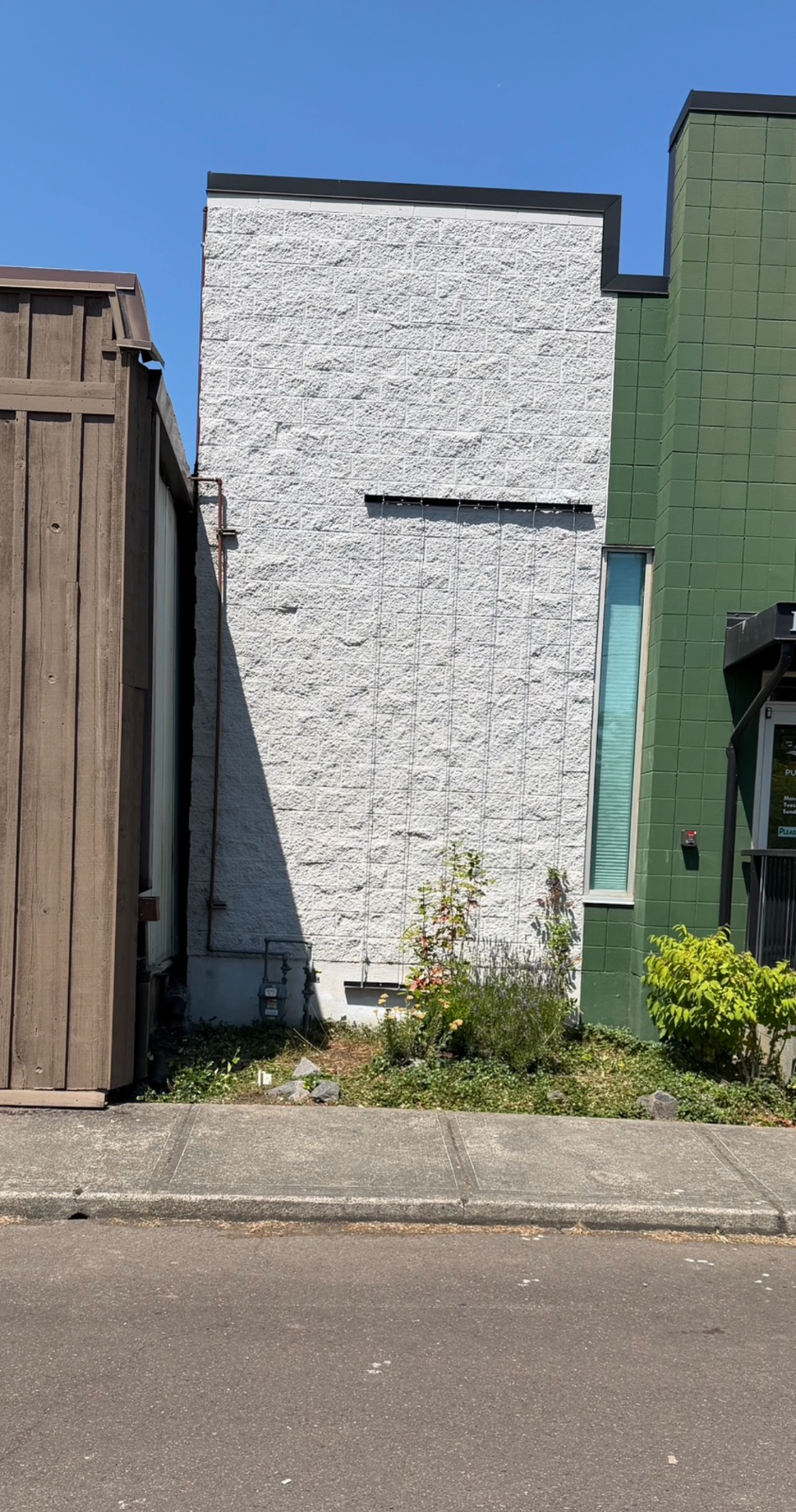 Cover photo for Banks Library Greenwall