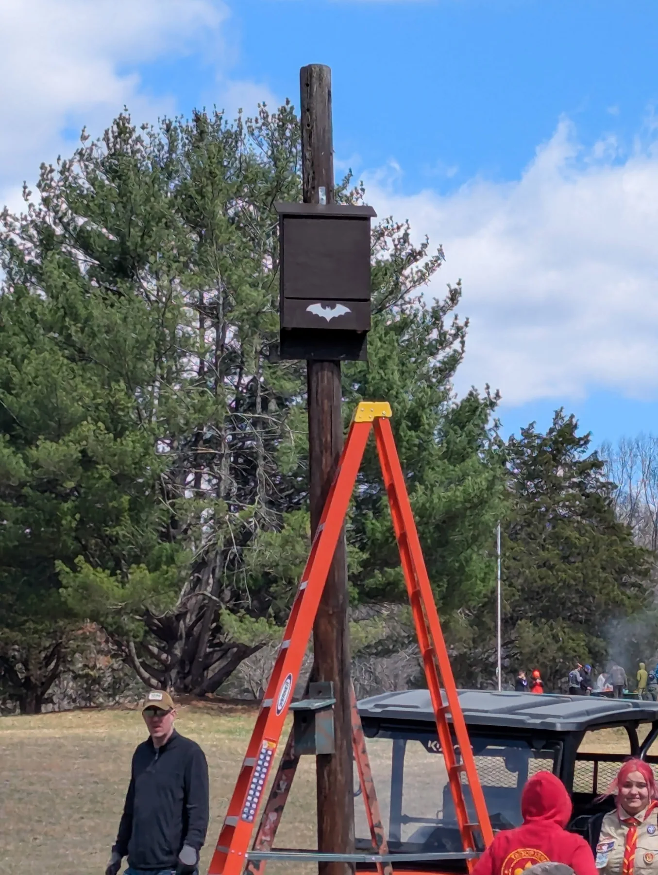 Cover photo for Bat Boxes