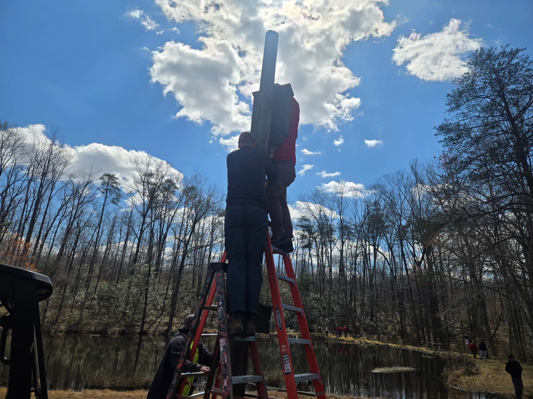 Bat Boxes project photo 4