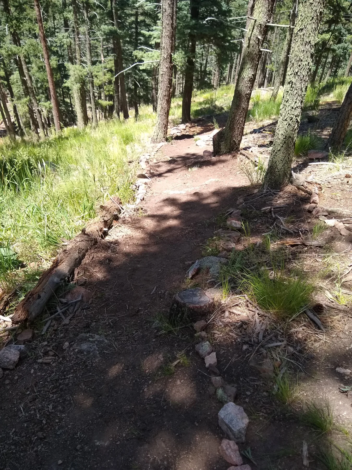 Improvements To The Cheyenne Mountain Zoo Nature Trail project photo 6