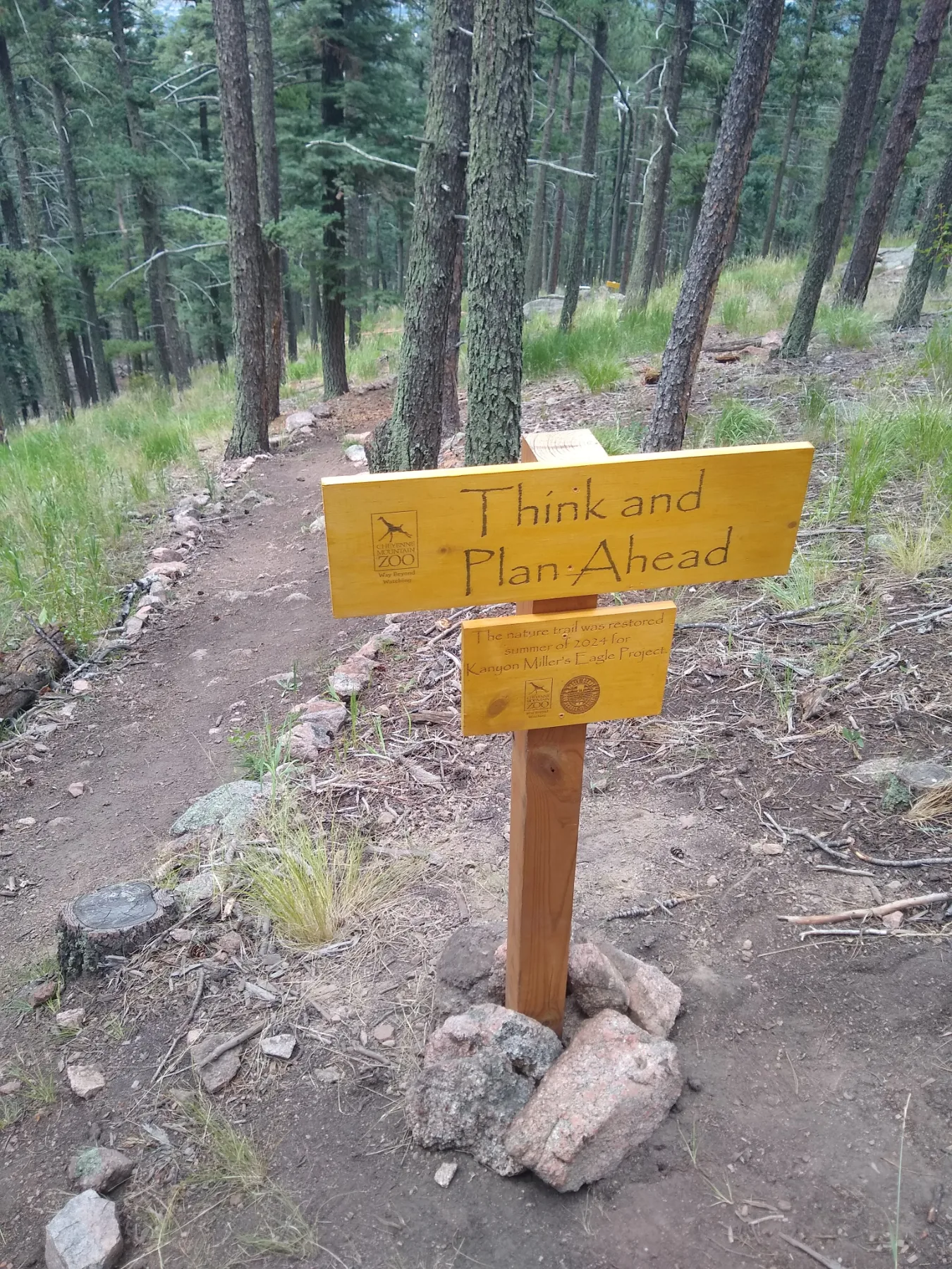 Improvements To The Cheyenne Mountain Zoo Nature Trail project photo 5
