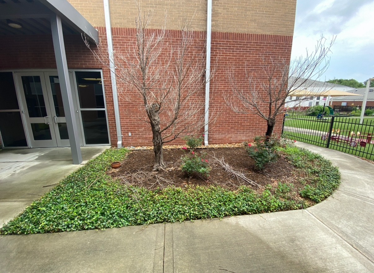 Prayer Garden project photo 6