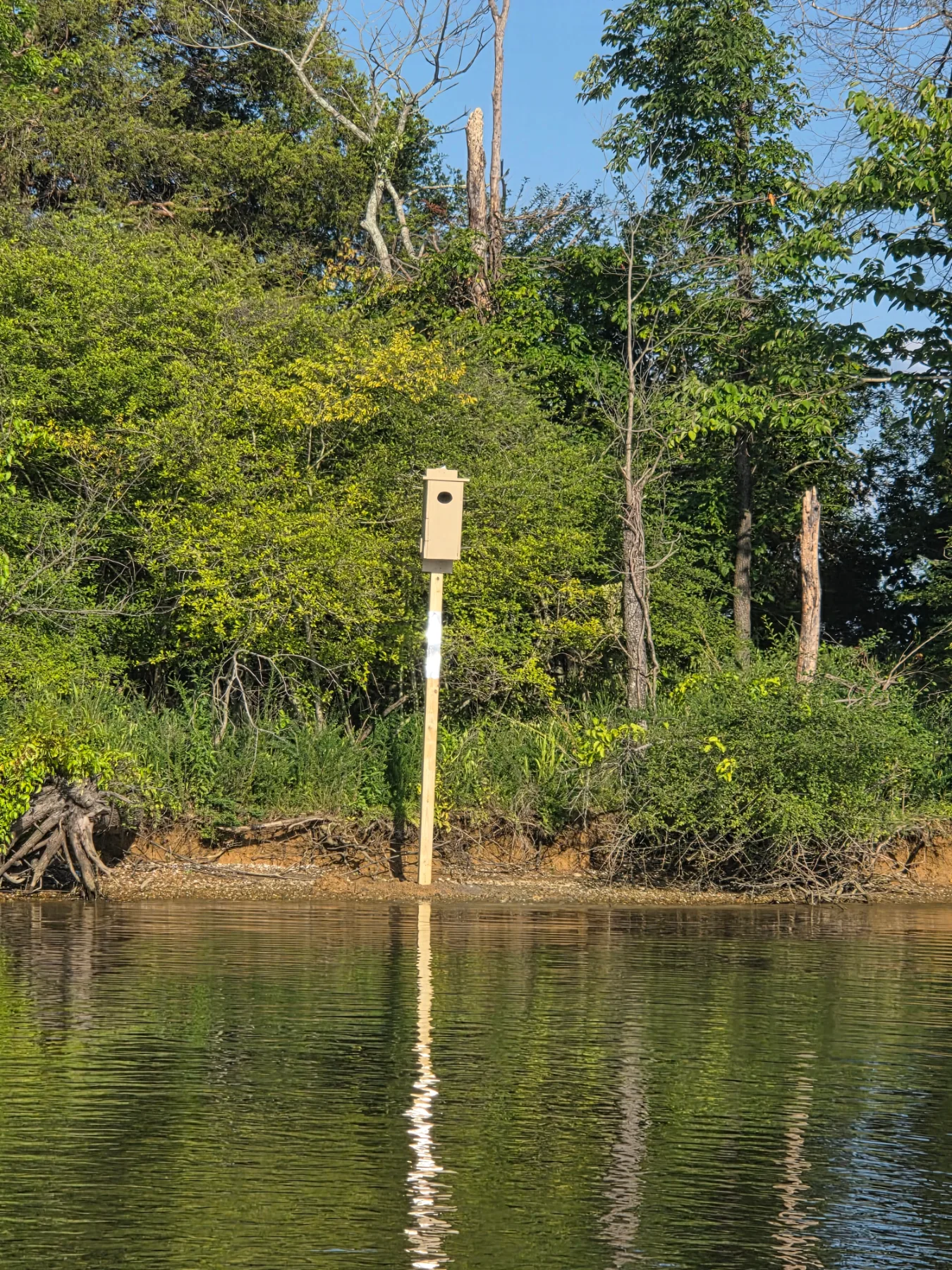 Wood Duck Nesting Houses project photo 2